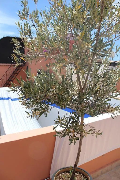 Riad Faiza Guesthouse Marrakesh