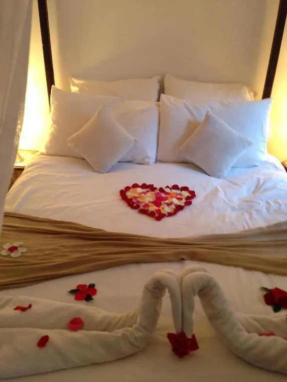 Riad Faiza Guesthouse Marrakesh